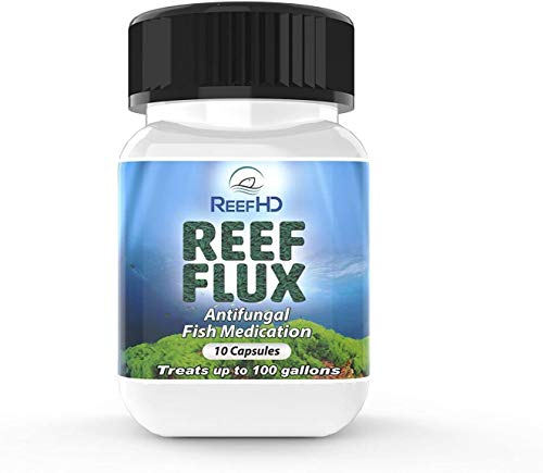 ReefHD Reef Flux Reef HD 100 gal