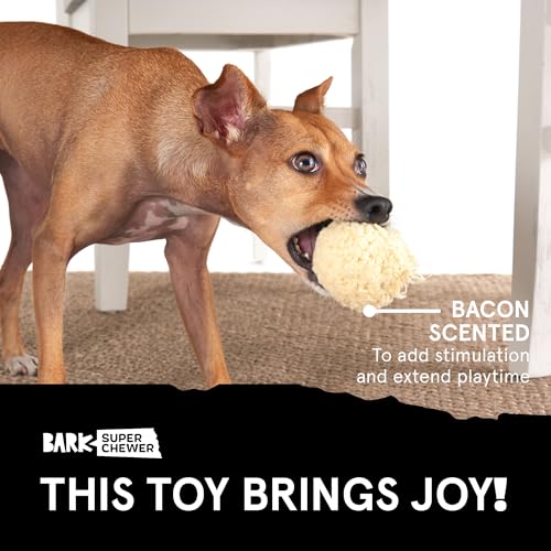 Barkbox Brinquedos e mastigadores para cães com tema de comida perfumada, borracha resistente e nylo