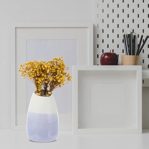 Ramo de flores secas Gypsophila natural Yellow 12cm miniatura 6