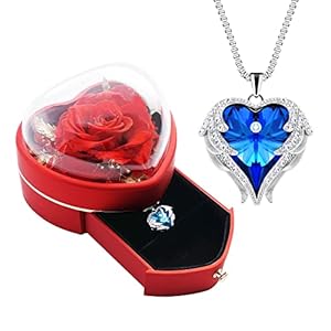 JLQPTX Preserved Real Rose with Heart Necklace Gift Set for Women. Anniversary Birthday Gifts for Her.Forever Rose Gifts…