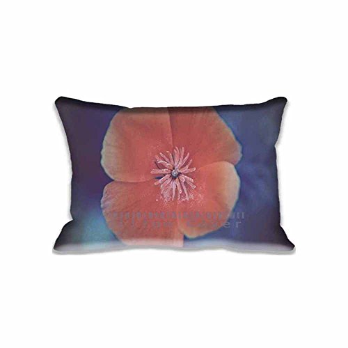 16x24inch Bedding Home Decorations California