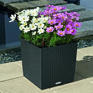 Amazon.co.jp: レチューザ・コテージ・キューブ40 ホワイト : DIY