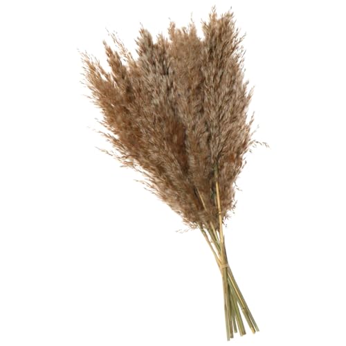 7PCS Ramo de Flores Secas Decorativo de Pasto Pampas miniatura 1
