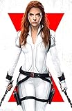 Logan Arch Marvel MCU Black Widow Movie 17' X 11' - Promotional Print Poster