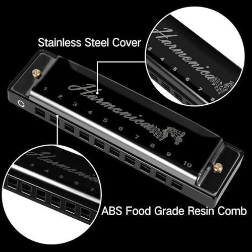 Image of Key C Diatonic Blues Harmonica 10 Hole 20 Tones with Case, Mouth Organ for Beginners, Students, Kids & Professionals