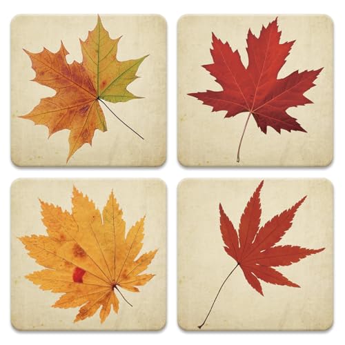 FYSUIMU 4 Pcs Fall Leaves Coasters Autumn Maple Leaf Square