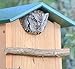 JCS Wildlife Screech Owl Nesting Box, Owl House, Cedar, with Poly Lumber Roof, Premium Build with Weather Proof Roof and Made in USA. Also for Saw-whet, Boreal, Elf owl, Kestrel & Others. Easy to
