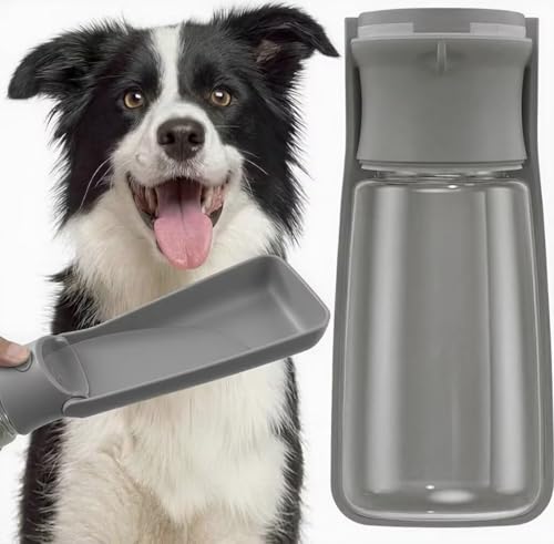 Foldable Portable Dog Water Bottle 19oz