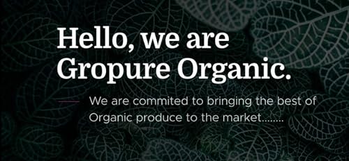 Image of GroPure Organic | Chironji Seeds 400g | Raw Charoli | Almondette Kernels | Chiraunji | Chemical-Free | For Kheer, Halwa & Payasam | Chironji Dry Fruit | Sarapappu