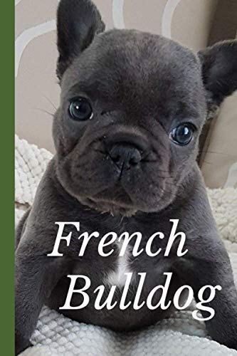 French Bulldog: Journal and Notebook - Composition Size (6"x9") With 120 Lined Pages, Perfect for Journal Doodling, Sketching and Notes