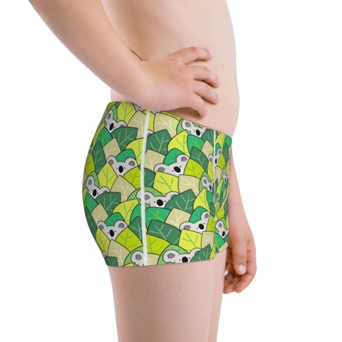 Boys' Cotton Boxer Brief Soft Underwear-Cartoon Koala Bear And Leaf2