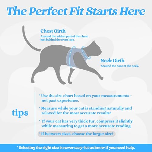 Image of rabbitgoo Cat Harness and Leash Set, Step-in Soft Vest, Light Blue | Escape Proof, Lightweight, Easy-on & Adjustable, Hook & Loop with Buckle, Reflective, for Small Cats Walks, XL