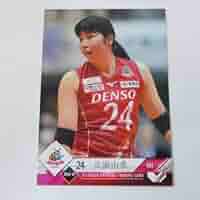 【まとめ売り】Vリーグ女子バレー バインダーとカード多数！ まとめ売り】Vリーグ女子バレー バインダーとカード多数