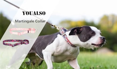 Martingale Halsband für Hunde, rutschfest, ausbruchsicher, Würgen, kein Ziehen, weiches Nylon, verstellbar, für kleine, mittelgroße und große Rassen, Tribal M