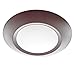 Westgate Lighting LED Trims & Bulbs - Dimmable Disk Lights 5"/6" ? Spun Aluminum Flush Mount Fixtures