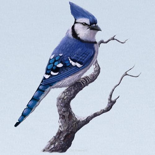 CafePress Blue Jay Bird Baby Blanket, Super Soft Newborn Swaddle2