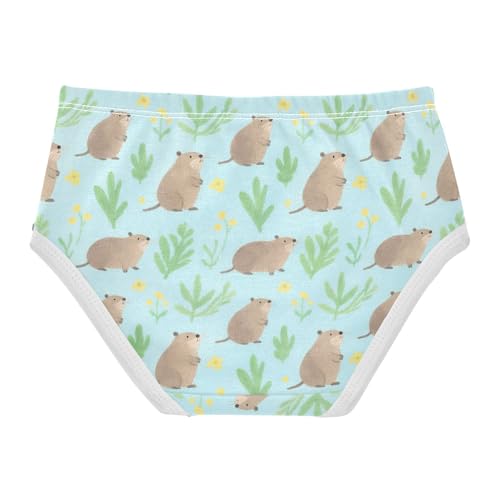 GuoChe Organic Cotton Panties Breathable Panties Briefs Underwear for Kid2