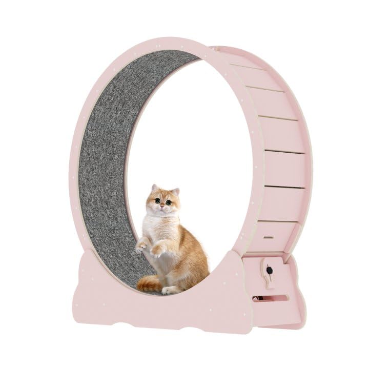Cat Running Wheel, Cat Exercise Wheel Treadmill with Carpeted Runway, Fitness Weight Loss Device, Cat Sport Toy for Kittys Longer Life (M, Pink)