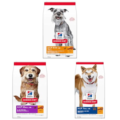 yZbgzqY TCGX_CGbg hbOt[h VjA Cg  7Έȏ `L 12s p hC 얞 + qY TCGX_CGbg hbOt[h VjAvX  10Έȏ `L 12s p hC + qY 