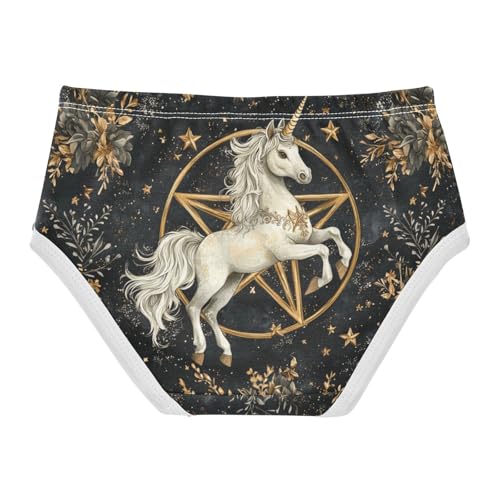 ZZKKO White House Golde Star Girls Underwear Toddler Panties for Girls Comfort Brief Size 2T-8Y2