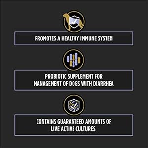 Purinaproplanveterinarysupplementsfortifloradogprobioticsupplementcaninenutritionalsupplement30ctbox Urban Country Home Decor Purina pro plan veterinary supplements fortiflora dog probiotic supplement canine nutritional supplement 30 ct box urban country home decor