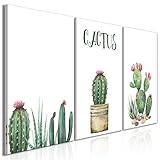 c4 cactus blanco perla nacarado MEDIDAS: aprox. 120x60 (40x60 40x60 40x60) cm en total - 3 partes