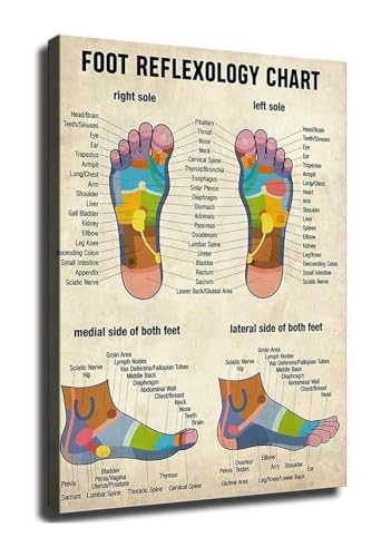 Educational Foot Chart Vintage Canvas Print for Office Decor Spa Waiting Room Wellness Wall-Art(Unframed,16x24inch(40x60cm))