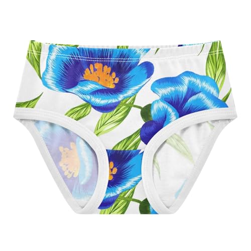 Girls Underwear Toddler 2t Cotton Little Girl Panties Designer Kids Briefs Undies Blue Flowers Green Leaves White