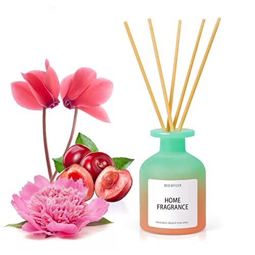 SCENTORINI Difusor de Perfume para el Hogar con Varillas, 100ml con 6 Varillas Difusoras