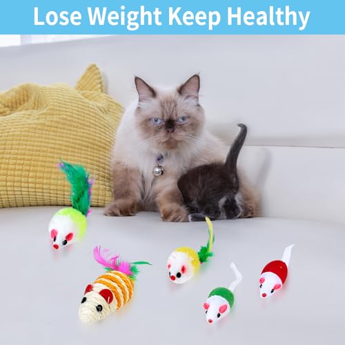 Gaomoeny 22 Stück Katzenspielzeug Set, Katzentunnel Interaktives Katzen Zubehör, Katzen Angel Spielzeug Katze Federspielzeug, Spielzeugmäuse, Katzenbälle, Cat Toys, Kitten Spielzeugs