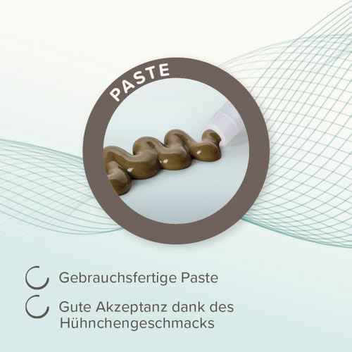 BEAPHAR - IntestoPro Paste Für Hunde - Mit Zeolith - Mit MOS & FOS - Unterstützt Das Gleichgewicht Der Darmfunktion - 2 x 20 ml