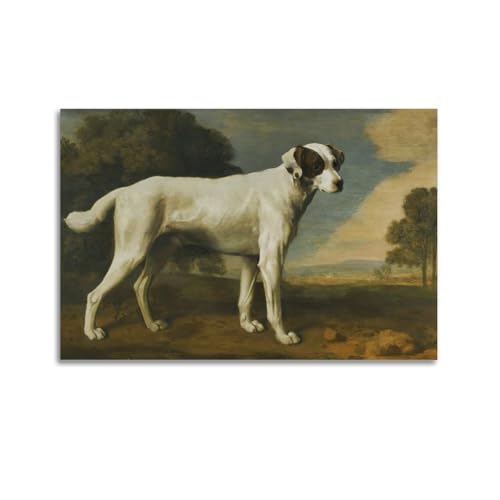 Poster de chien blanc George Stubbs ADovz Viscount pour chambre 60x90 cm