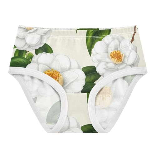 Girls Underwear Toddlers 2t Cotton Little Girl Panties Fun Briefs Kids Undies Elegant White Camellia Flowers