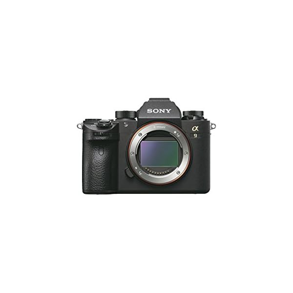 Sony α N_ILCE9.CEC Digitalkamera MILC Gehäuse 24,2 MP CMOS 6000 x 4000 Pixel, schwarz – Digitalkameras (24,2 MP, 6000 x 4000 Pixel, CMOS, 4K Ultra HD, schwarz)
