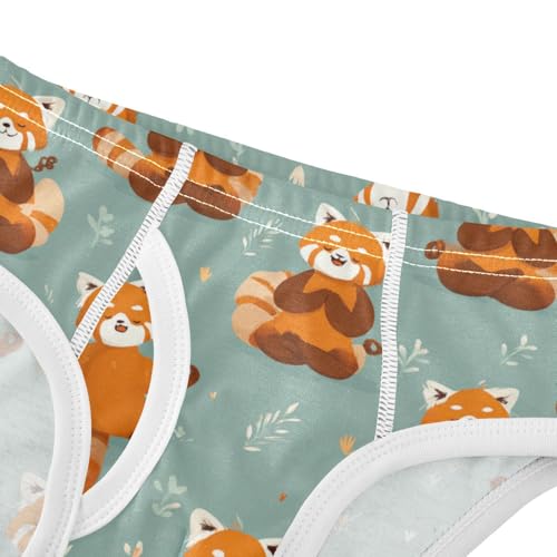 Wusikd Red Pandas Doing Yoga Boys' Underwear Cotton Boys Briefs Soft Toddler Underwear 2T4