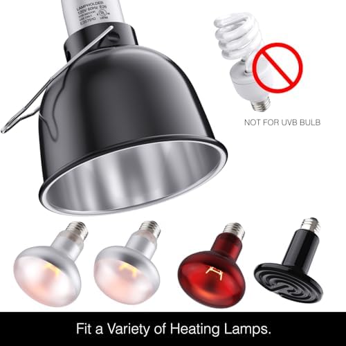 Reptile Light Fixture — packaging and what arrives in the box