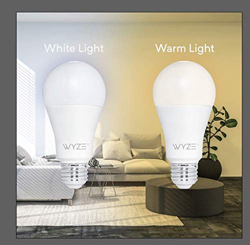 Wyze Bulb Two-Pack - Image 2