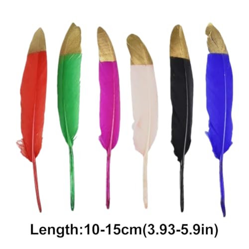 Plumes d'oie et plumes de faisan décoratives pour fête et décoration de table 100pcs