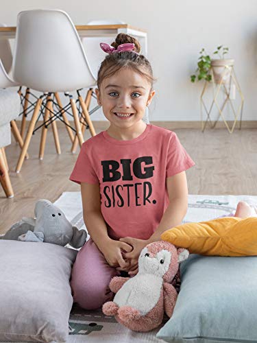 Image of Big Sister Shirt Big Sister Announcement Toddler Shirts Promoted to Girls Outfit