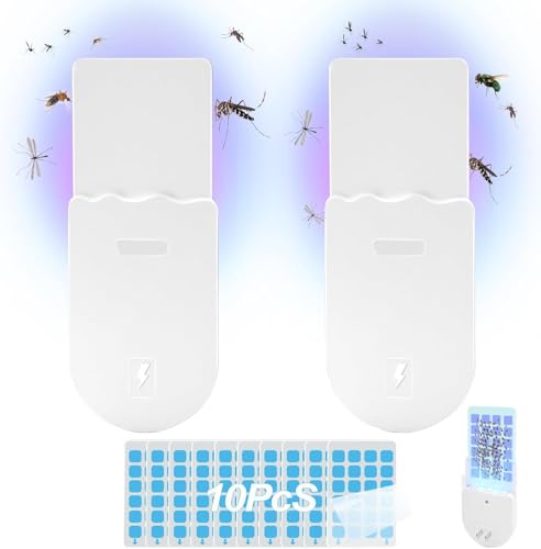 home fly trap