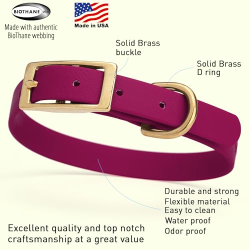 Image of Viper Biothane Heavy Duty Waterproof Dog Collar Strong Coated Nylon Webbing w /Solid Brass Hardware Odor-Proof Easy to Clean High Performance Fits Small Medium or Large Dogs, Magenta Pink