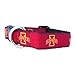 NCAA Iowa State Cyclones Dog Collar (Team Color, Large)