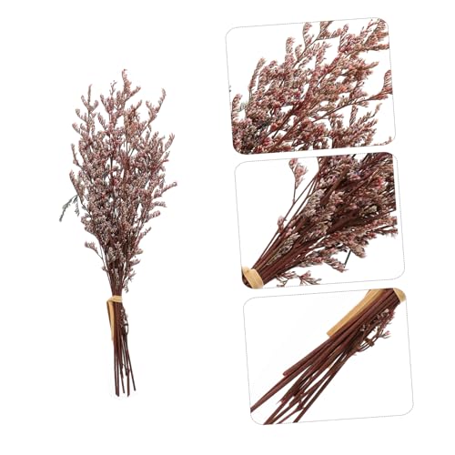 Ramo pequeño de flores secas Gypsophila para decoración miniatura 5