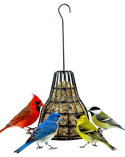 Gardmate Bird Seed Bell Feeder with Hanging Rod S-8 Seed Cake Metal Bell Feeders for Outdoors Eco-Friendly Green Ready to Hang for Chickadees Finches S-8 Seed Cake Bell Feeder