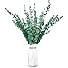 20 Stück Eukalyptus Getrocknet 43cm Natürliche Trockenblumen Eukalyptus kann Konserviert Frische Eukalyptus-Zweige für Hochzeit、Blumen Arrangements Heim Décor 215/65 RISC V günstig Kaufen-20 Stück Eukalyptus Getrocknet 43cm Natürliche Trockenblumen Eukalyptus kann Konserviert Frische Eukalyptus-Zweige für Hochzeit、Blumen Arrangements Heim Décor 215/65