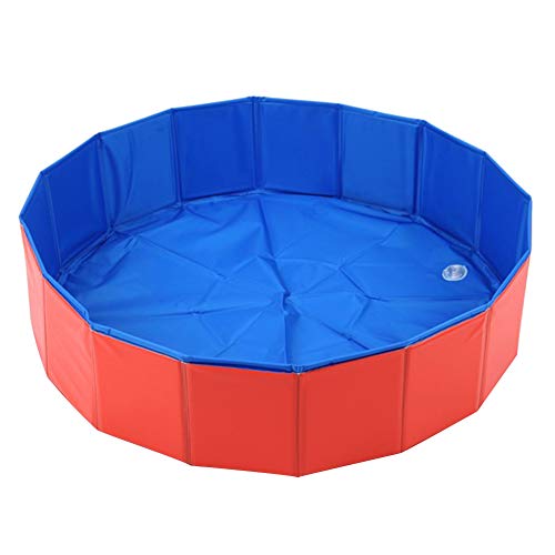 Chien Douche Baignoire Chien Douche Baignoire