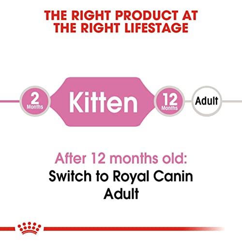 ROYAL CANIN C-58434 Cat - 4 kg