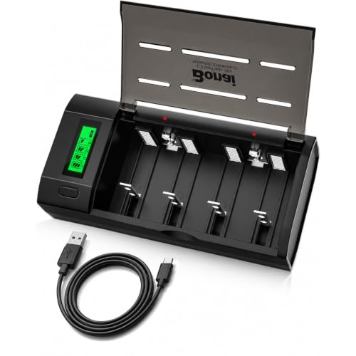 BONAI Cargador de batería LCD Universal Cargador de batería rápido para Pilas AA/AAA/SC/C/D/9V NI-Mh con baterías Recargables Función de Descarga (Puertos Micro y Tipo C)
