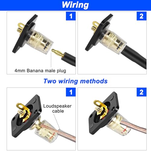 Terminal de caja de altavoz D-Type 4mm conector banana miniatura 4