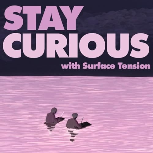 Stay Curious! How Does the Internet Work?